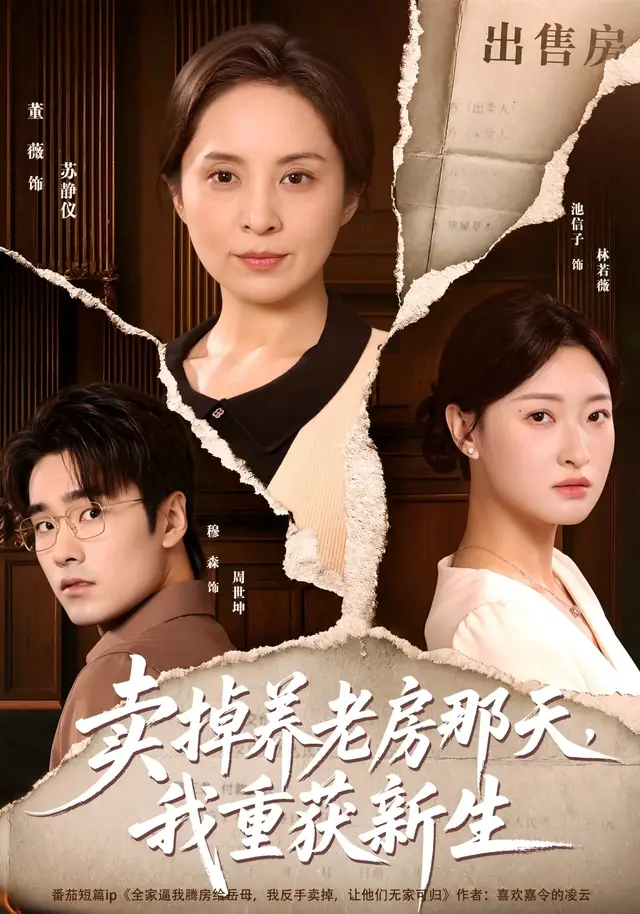 卖掉养老房那天，我重获新生海报